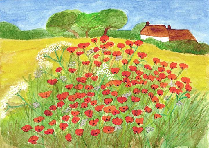 COQUELIC.JPG - Les coquelicots
