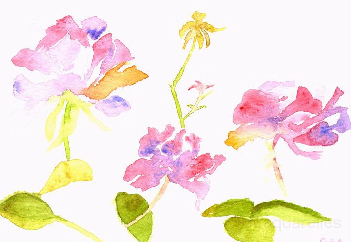 FLEURS1.JPG - Carte postale