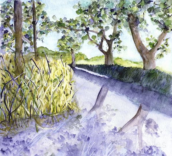 marais.JPG - Marais