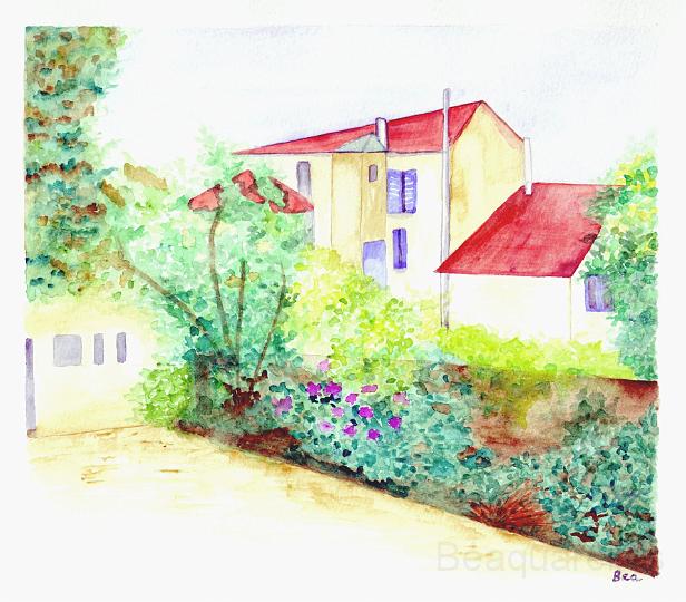 jardine.JPG - le jardin